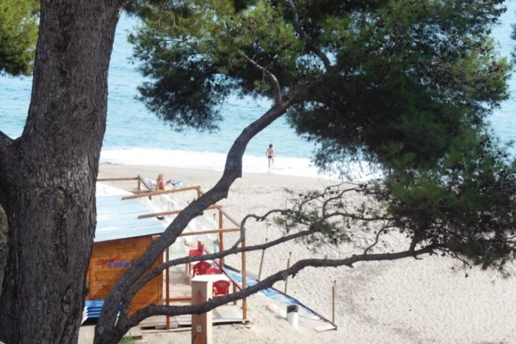 미아미플라자 Preciosa Casa Con Piscina Al Lado De La Playa 빌라 외부 사진